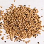 Mustard seeds by David Turner