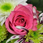 Beauty Reflected: Energy for Wholeness, a Retreat for Women